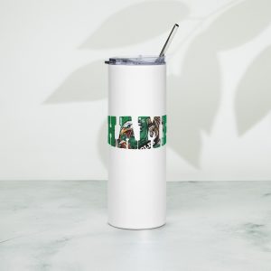 Stainless steel tumbler